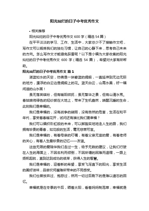 阳光灿烂的日子中考优秀作文