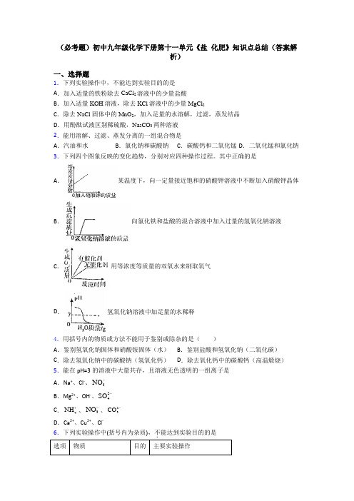 (必考题)初中九年级化学下册第十一单元《盐 化肥》知识点总结(答案解析)