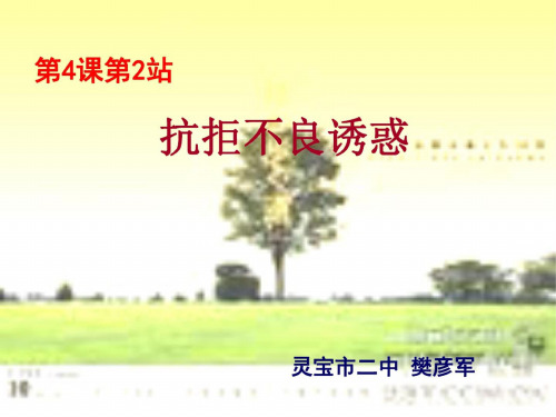 八年级政治抗拒不良诱惑_9528