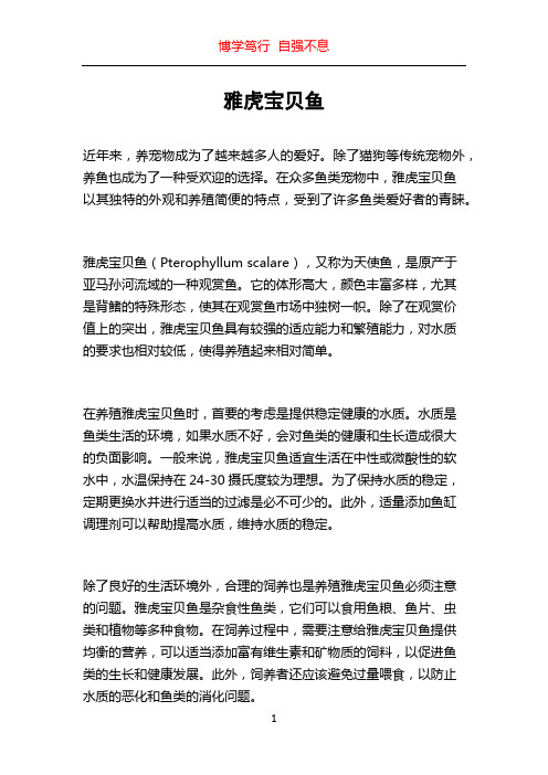 雅虎宝贝鱼