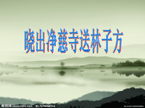 冀教版五年级语文下册《二单元  6.古诗两首  6.2 晓出净慈寺送林子方》教学设计_2