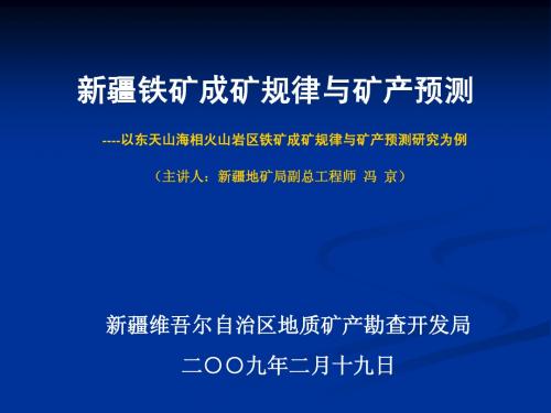 新疆铁矿成矿规律与矿产预测研究及编图(讲课)