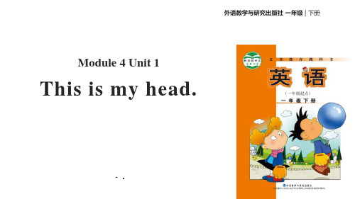 《This is my head》PPT教学课件