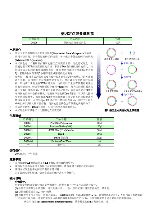 定点突变protocol