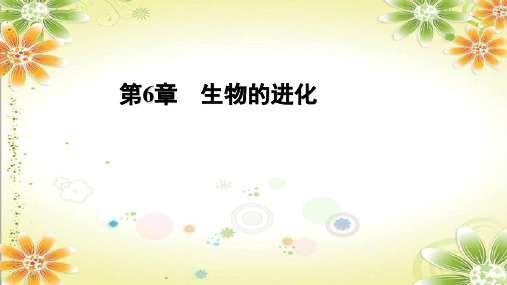 协同进化与生物多样性的形成课件高一下学期生物人教版必修2(2)