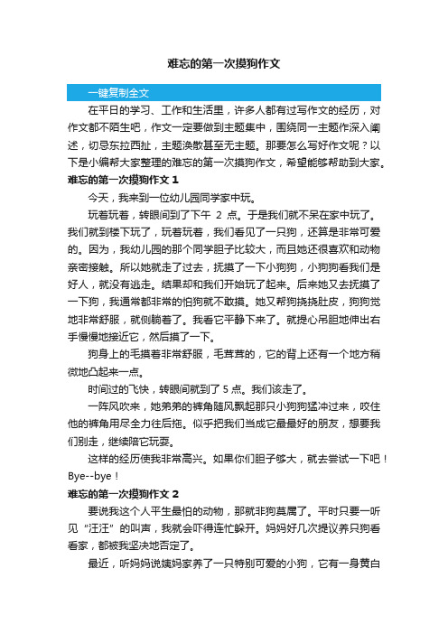 难忘的第一次摸狗作文