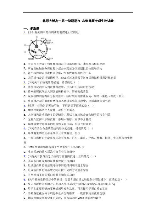 北师大版高一第一学期期末 非选择题专项生物试卷