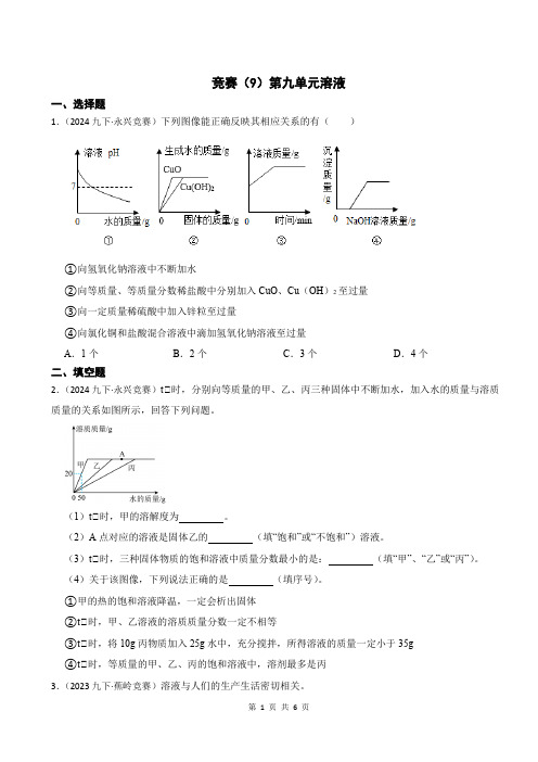 全国竞赛(9)第九单元溶液-2024-2025学年九年级化学人教版(2024)下册