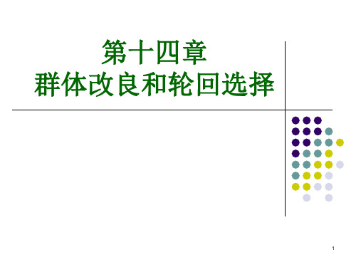 群体改良和轮回选择PPT演示文稿