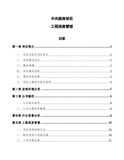 中央厨房项目工程进度管理(参考)