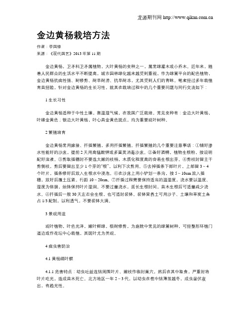 金边黄杨栽培方法