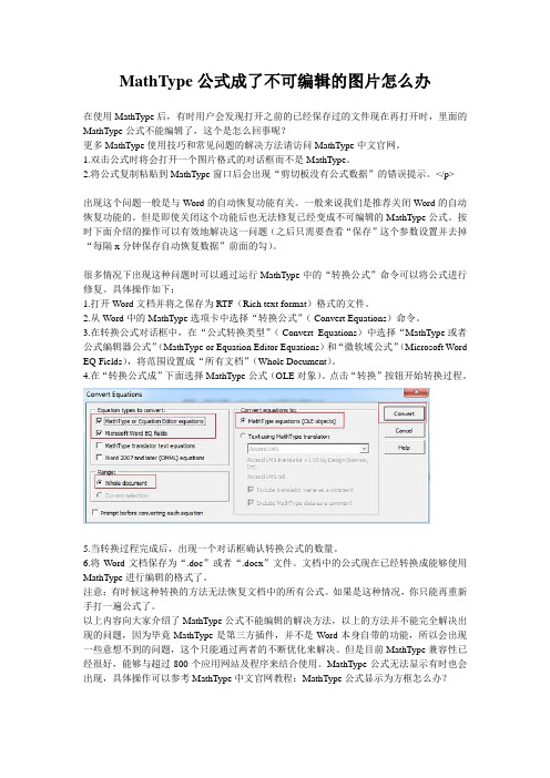 MathType公式变成了不可编辑的图片怎么办