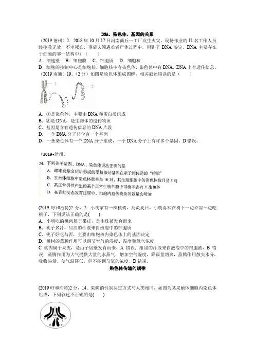 2019年全国中考真题分类_生物的遗传和变异