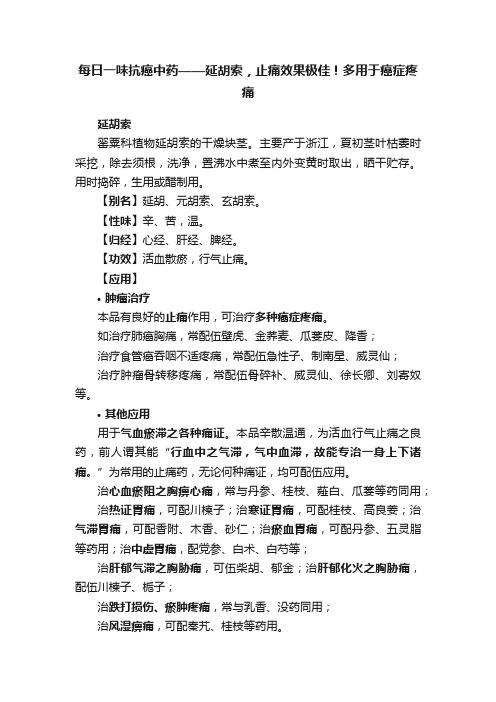 每日一味抗癌中药——延胡索，止痛效果极佳！多用于癌症疼痛