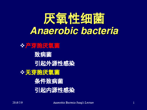 《医学微生物学》教学课件：11 厌氧菌