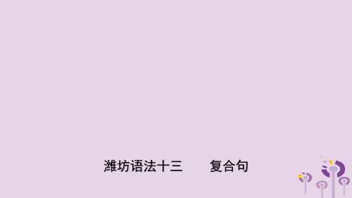 山东省潍坊市2019年中考英语总复习语法专项复习语法十三复合句课件