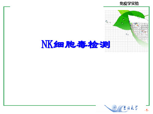 NK细胞毒活性-LDH释放法