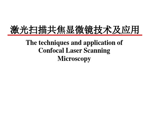 基础科学激光共聚焦显微镜原理和操作模版课件