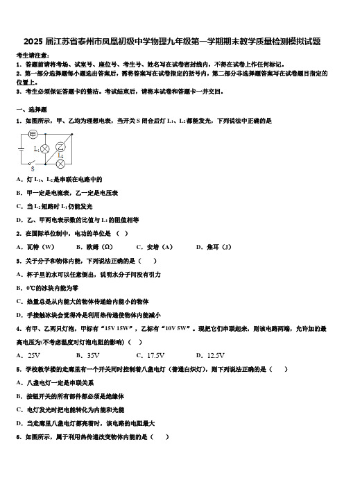 2025届江苏省泰州市凤凰初级中学物理九年级第一学期期末教学质量检测模拟试题含解析