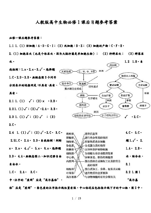 人版高中生物必修1课后习题参考答案解析