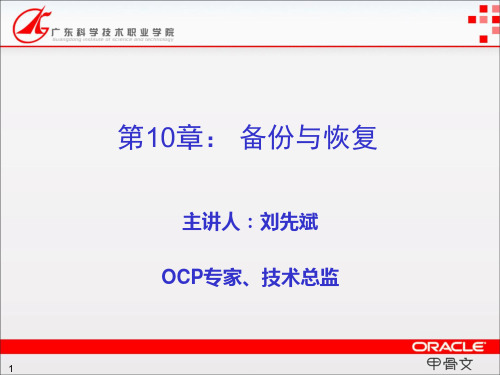 《Oracle数据库系统应用开发实用教程(第2版)》 第10章 备份与恢复