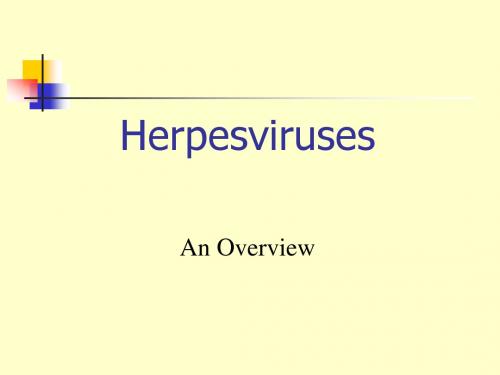 herpesviruses(水痘-带状疱疹病毒)