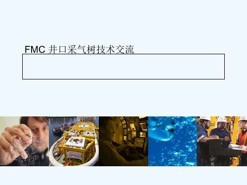 FMC井口采气树采油树技术交流 PPT