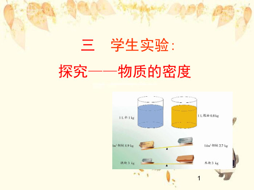 开原市第八中学八年级物理上册2.3学生实验：探究__物质的密度课件新版北师大版