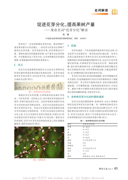 促进花芽分化，提高果树产量——果业名词“花芽分化”解读