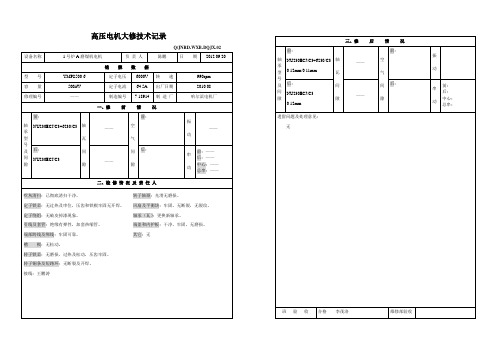 高压电机检修记录12.10.22