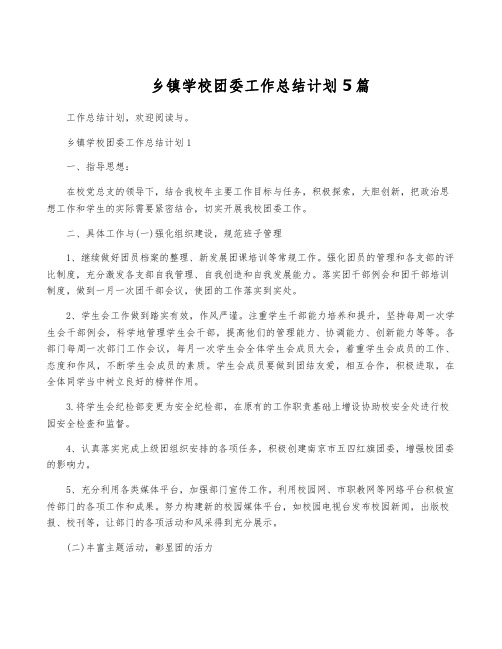 乡镇学校团委工作计划5篇