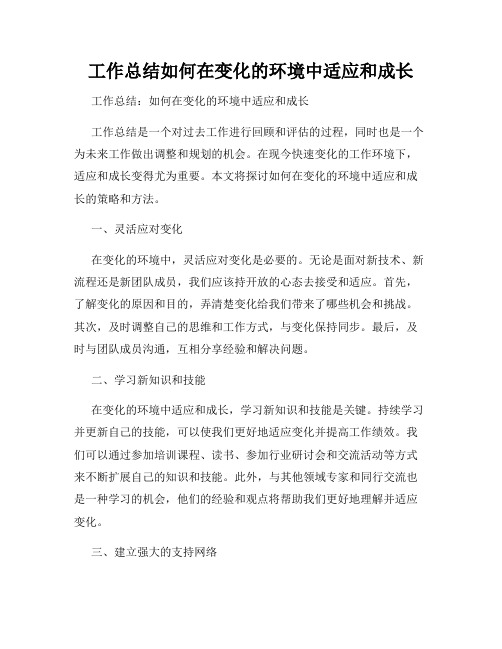 工作总结如何在变化的环境中适应和成长