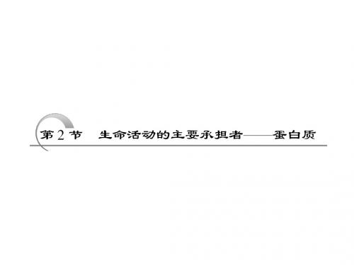 氨基酸及其种类