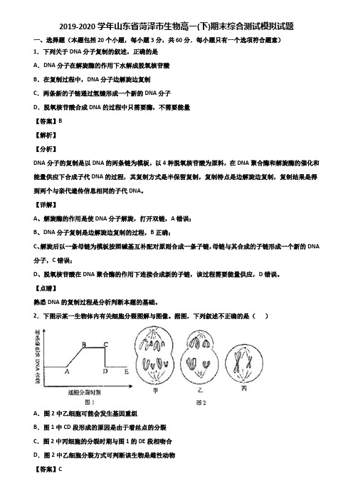 2019-2020学年山东省菏泽市生物高一(下)期末综合测试模拟试题含解析