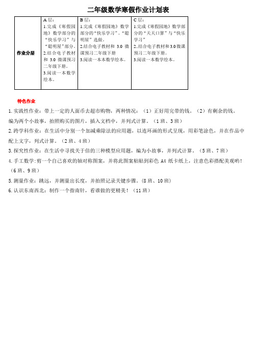 二年级数学寒假作业设计