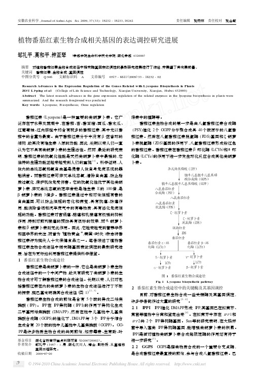 植物番茄红素生物合成相关基因的表达调控研究进展