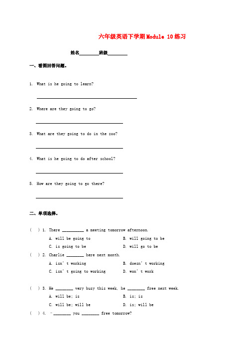 三年级起点外研版小学英语六年级下册Module10测试题及答案(外研版新标准 小学 英语试题)