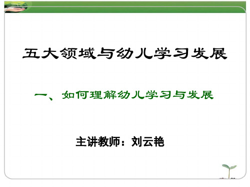 五大领域与幼儿学习发展详解