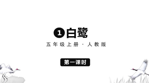 白鹭 第一课时  课件(共23张PPT)