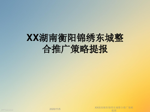 XX湖南衡阳锦绣东城整合推广策略提报