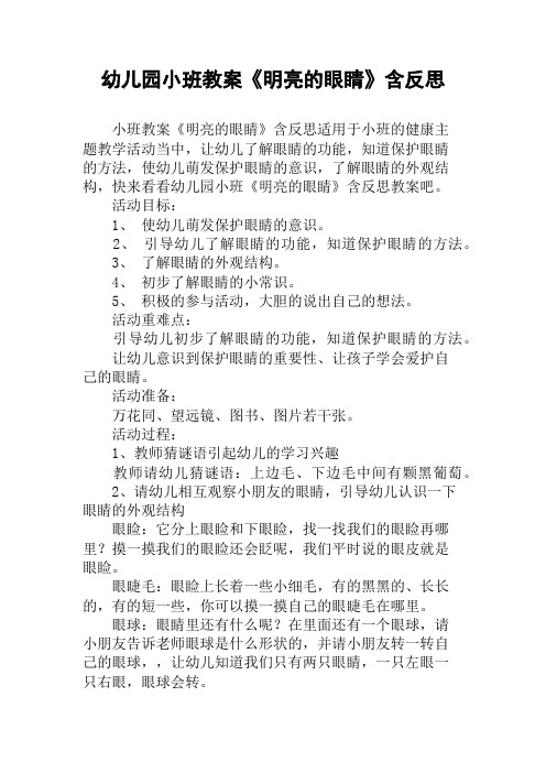 幼儿园小班教案《明亮的眼睛》含反思