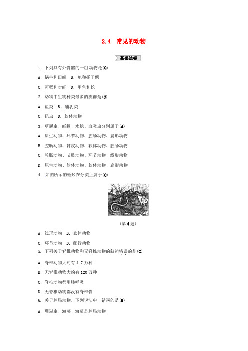 七年级科学上册 2.4 常见的动物(3)同步练习 (新版)浙教版