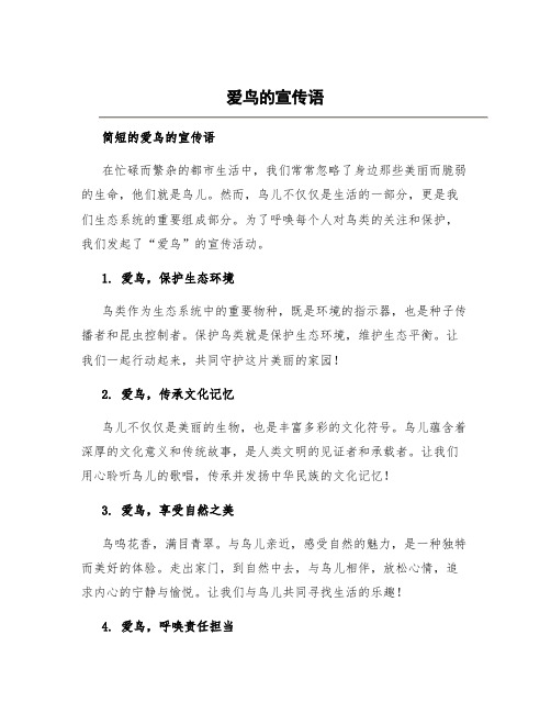 爱鸟的宣传语 简短的爱鸟的宣传语