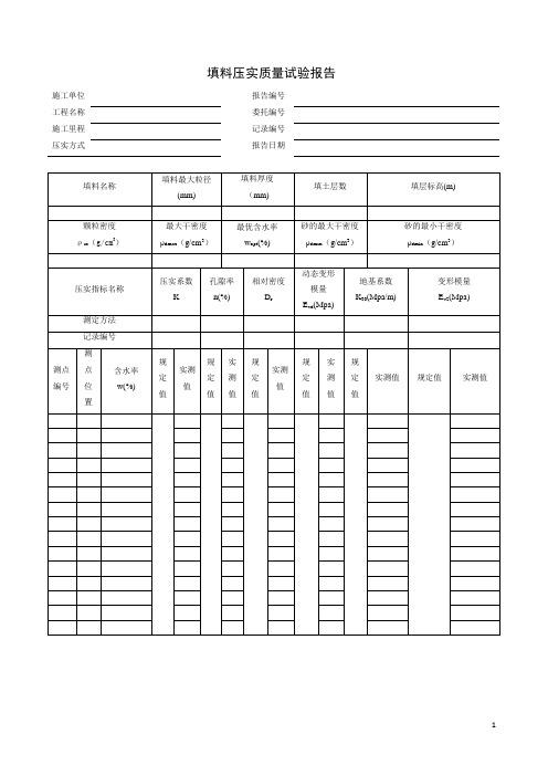 填料压实质量试验报告