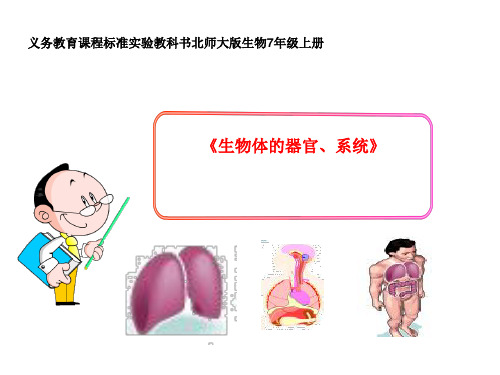 北师大版七年级上册生物  4.2 生物体的器官、系统 课件   (共34张PPT)