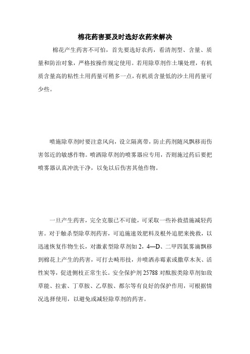 棉花药害要及时选好农药来解决