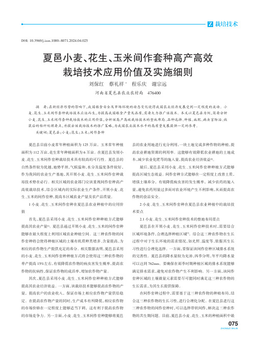 夏邑小麦、花生、玉米间作套种高产高效栽培技术应用价值及实施细则