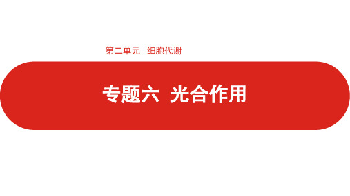 2022届新高考生物一轮复习课件：第二单元 专题六 光合作用