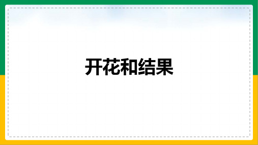 3.2.3开花和结果课件2023--2024学年人教版生物七年级上册