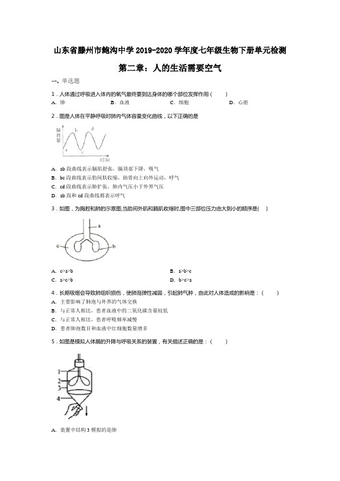 山东省滕州市鲍沟中学2019-2020学年七年级生物下册单元检测第二章：人的生活需要空气(无答案)